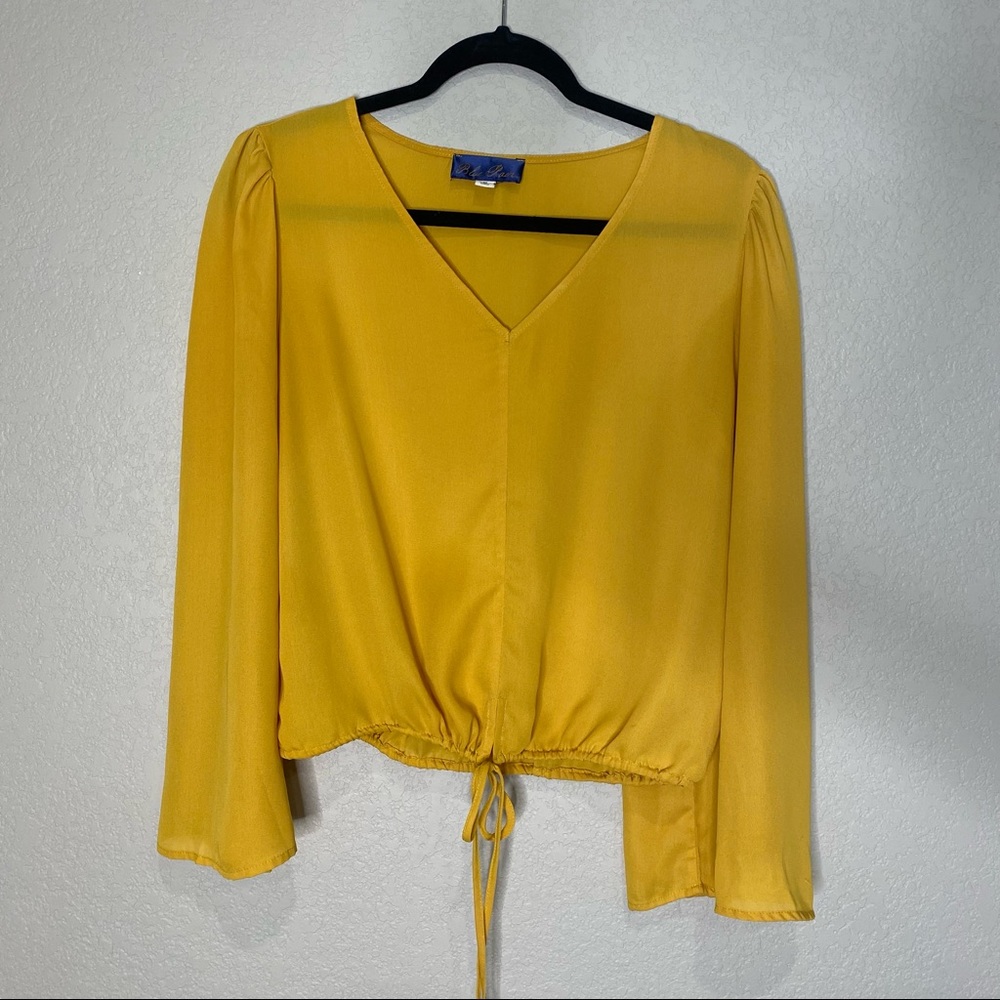 Francesca’s Blue Rain Blouse
